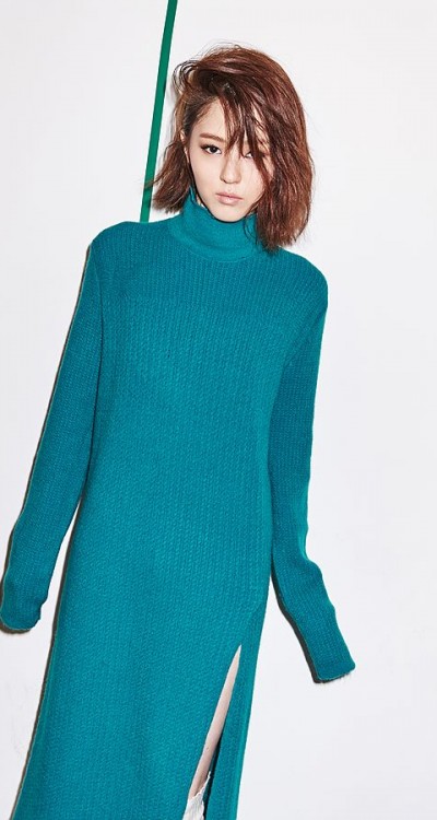 MOONHEE 2015FW 브로쉬